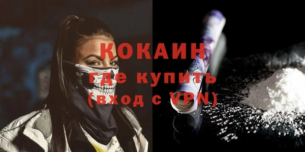 шишки Баксан
