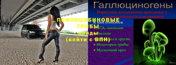 молекула духа Армянск