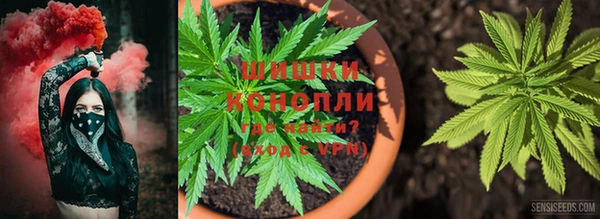 гашиш Арсеньев