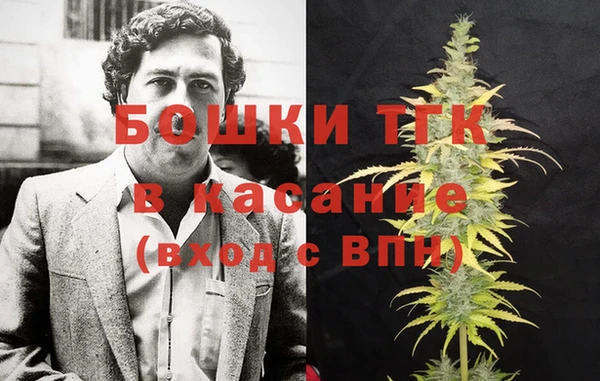 шишки Баксан