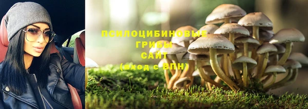 шишки Баксан