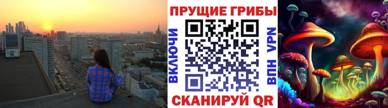 Галлюциногенные грибы Psilocybe как найти Венёв